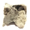herkimer 100 prox 2 x 3.5 x 2